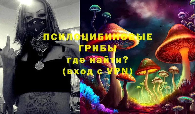 хочу   Муром  OMG ТОР  Галлюциногенные грибы Magic Shrooms 